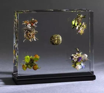 玻璃艺术家 Paul Stankard 的玻璃镇纸（glass paperweights）之父