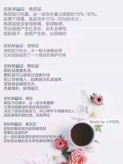 科普:认识一下我们的皮肤
皮肤分为五层
这也是为什么化妆品要整套用效果好的原因