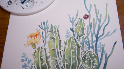 水彩，手绘 植物 仙人掌
