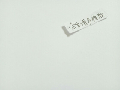 余生请多指教，拜托了。
