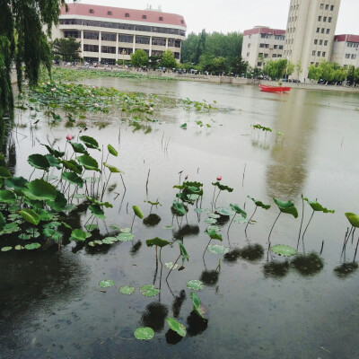 撑伞匆匆路过三元湖