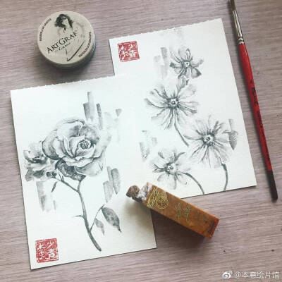 图源微博 待临花卉 水彩插画