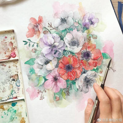 图源微博 待临花卉 水彩插画