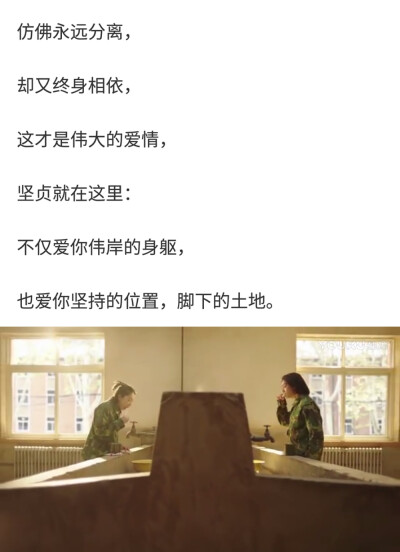 《致橡树》——舒婷