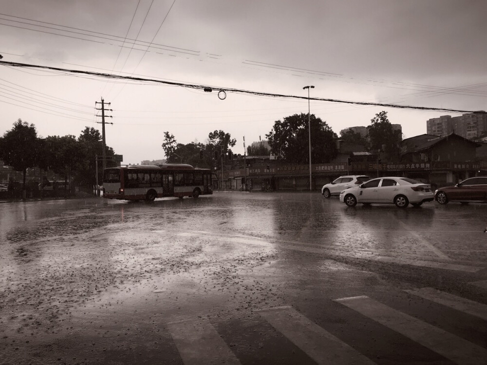 20170811 大到暴雨