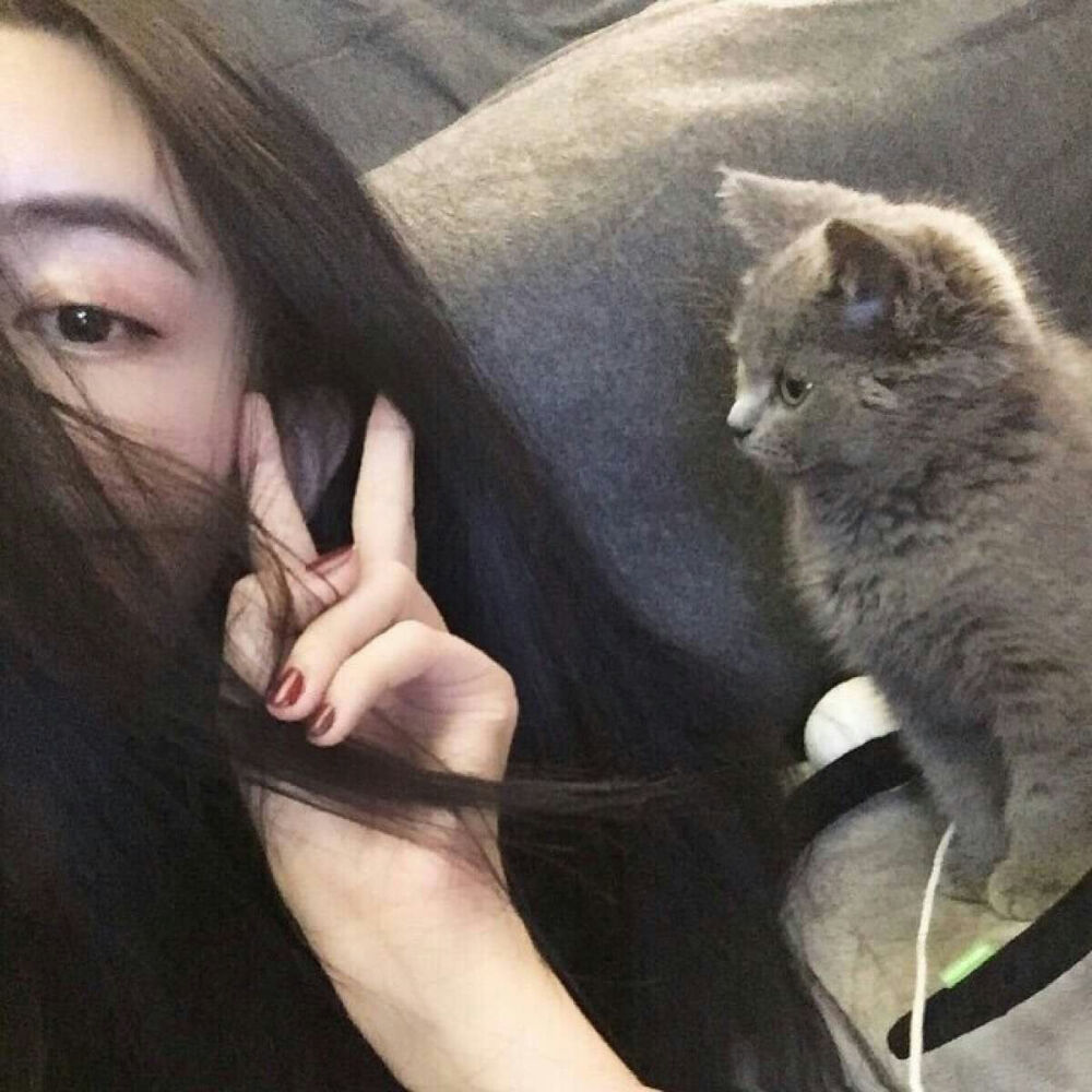 猫女头