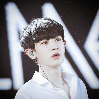 exo 朴灿烈 头像
