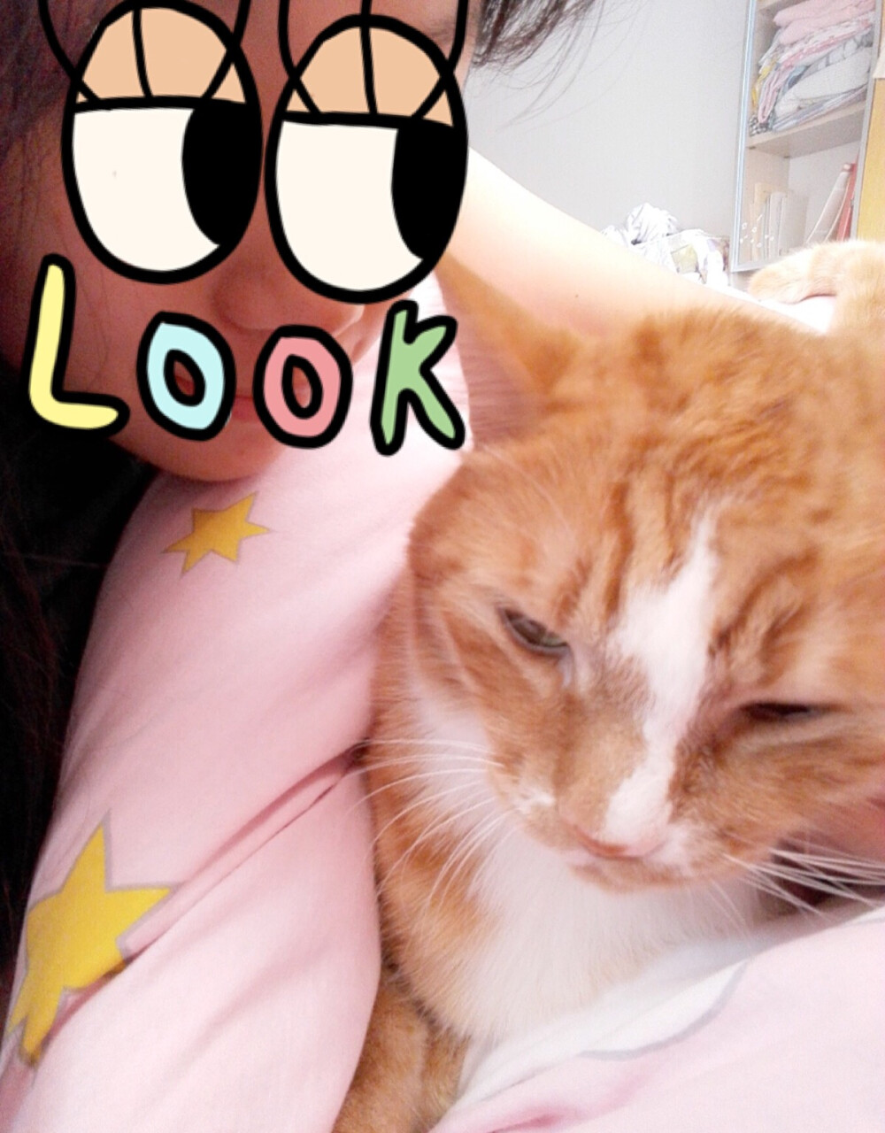 猫主子都快睡着了