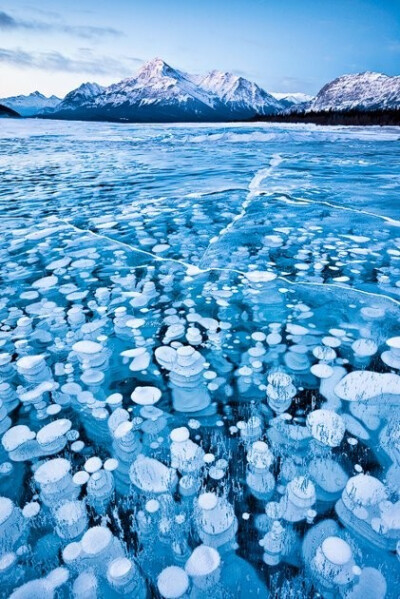 加拿大冰湖 你敢不敢上去打个滚？
