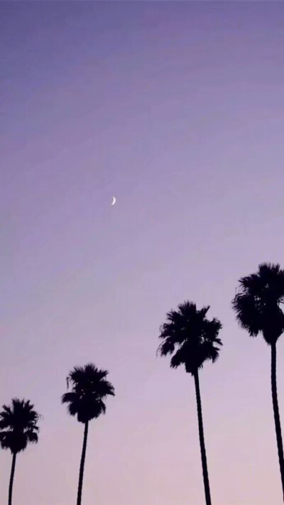 【手机壁纸】淡紫色天空 月