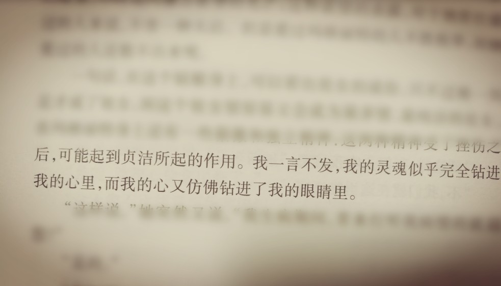 《La Dame aux Camélias》&九