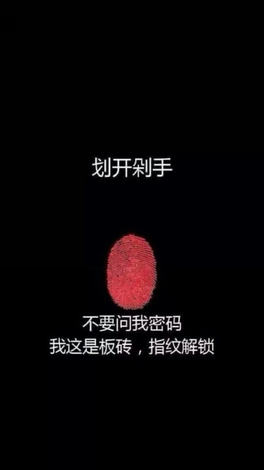 壁纸 锁屏
“不要问我密码
我这是板砖，指纹解锁”