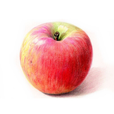 彩铅手绘：苹果