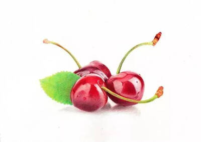 彩铅手绘――樱桃