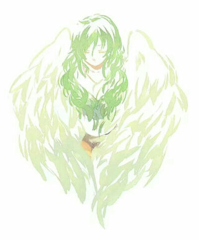 鸟人