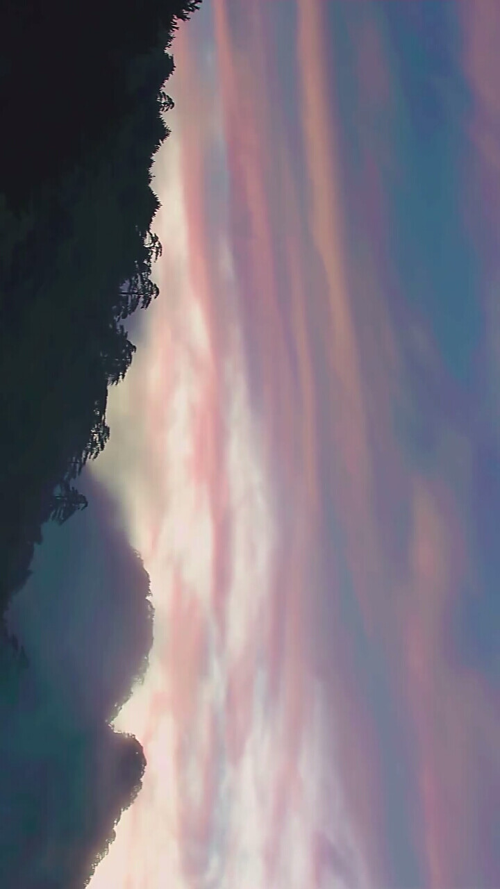 花间提壶方大厨