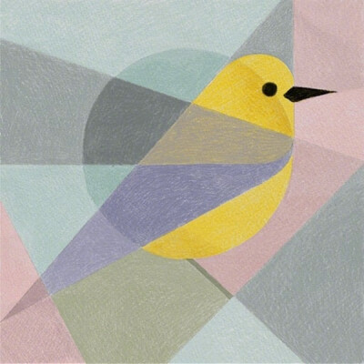 鸟类几何图形构成的插画设计欣赏 ​​​​