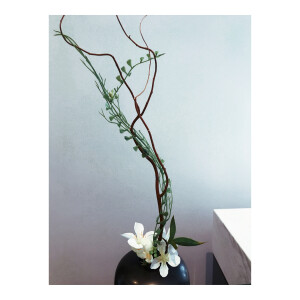 今天做了两款花艺作品。。喜欢吗？一个是中式花瓶，藤蔓组合扭曲造型，突破蛋形花瓶的一种烟花形式的插花形状，在枯藤上，加入紫色铁线莲，雪花草，凤尾，有木有眼前一亮的感觉。另一个是日式插花，小编我花了好多时间，精力在给这组花瓶配花，黑色配黄色？配紫色？很多种方案在脑袋炸开，后来才发现这只适合日式插花，又涨经验了。喜欢请@我吧
