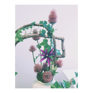 今天做了两款花艺作品。。喜欢吗？一个是中式花瓶，藤蔓组合扭曲造型，突破蛋形花瓶的一种烟花形式的插花形状，在枯藤上，加入紫色铁线莲，雪花草，凤尾，有木有眼前一亮的感觉。另一个是日式插花，小编我花了好多时间，精力在给这组花瓶配花，黑色配黄色？配紫色？很多种方案在脑袋炸开，后来才发现这只适合日式插花，又涨经验了。喜欢请@我吧