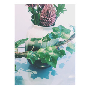 今天做了两款花艺作品。。喜欢吗？一个是中式花瓶，藤蔓组合扭曲造型，突破蛋形花瓶的一种烟花形式的插花形状，在枯藤上，加入紫色铁线莲，雪花草，凤尾，有木有眼前一亮的感觉。另一个是日式插花，小编我花了好多时间，精力在给这组花瓶配花，黑色配黄色？配紫色？很多种方案在脑袋炸开，后来才发现这只适合日式插花，又涨经验了。喜欢请@我吧