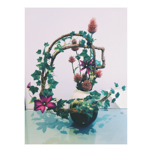 今天做了两款花艺作品。。喜欢吗？一个是中式花瓶，藤蔓组合扭曲造型，突破蛋形花瓶的一种烟花形式的插花形状，在枯藤上，加入紫色铁线莲，雪花草，凤尾，有木有眼前一亮的感觉。另一个是日式插花，小编我花了好多时间，精力在给这组花瓶配花，黑色配黄色？配紫色？很多种方案在脑袋炸开，后来才发现这只适合日式插花，又涨经验了。喜欢请@我吧