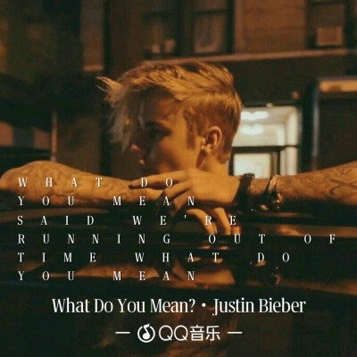 《What Do You Mean》