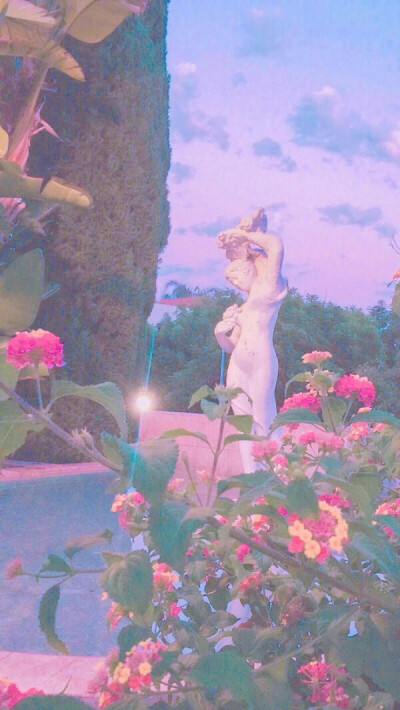 ♡七安 壁纸
from.眉心有颗美人痣