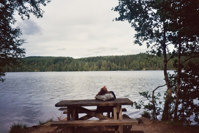 情不知所起，一往而深，生者可以死，死者可以生。生而不可与死，死而不可复生者，皆非情之至也。
