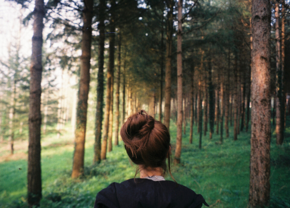 你本无意穿堂风，偏偏孤倨引山洪。