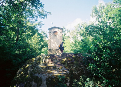 生如夏花之绚烂，死如秋叶之静美。