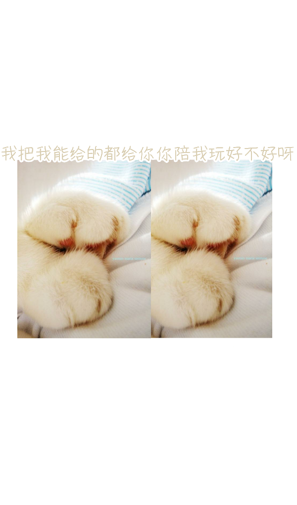 by杉杉 软妹 壁纸 可爱 简约 少女 手绘 猫