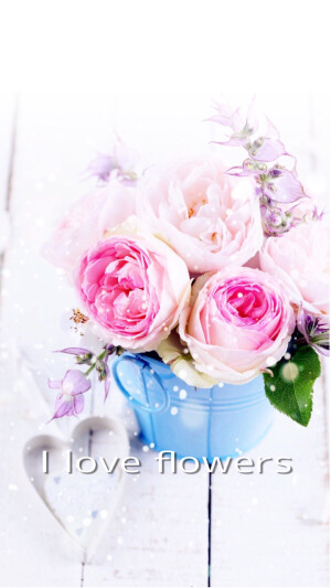 I love flowers
小碎花自制原创壁纸