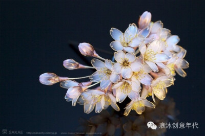 日本簪作家榮Sakae（sakaefly）, 榮Sakae 是来自日本成田市的一位艺术家，擅长手工制作各种各样精致美丽的发簪，莲花、牡丹、紫阳花、月下美人、白梅、樱花都在他的手中成就了一支支美得窒息的簪子。 