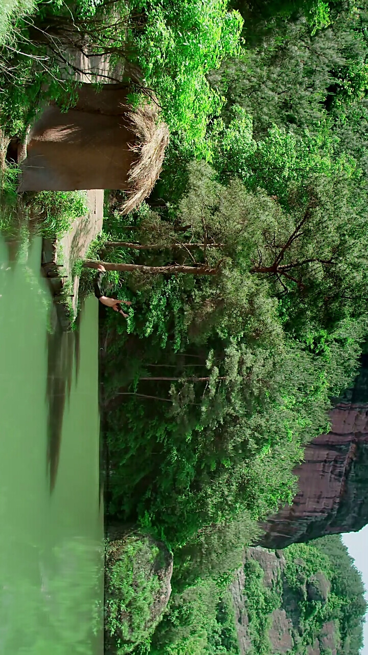 花间提壶方大厨