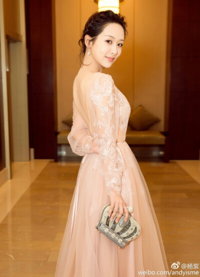 杨紫 2017电视剧品质盛典