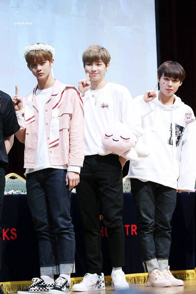 姜丹尼尔 裴珍映 朴志训