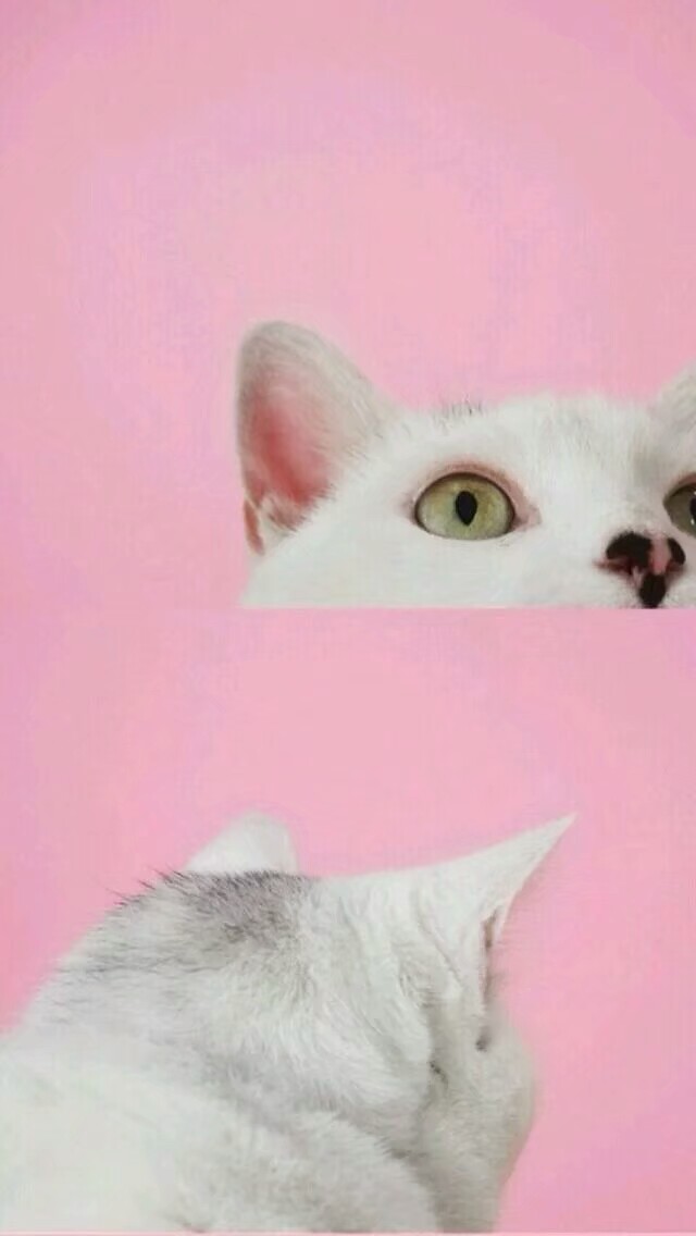 拼格壁纸~ from-怪蜀黍