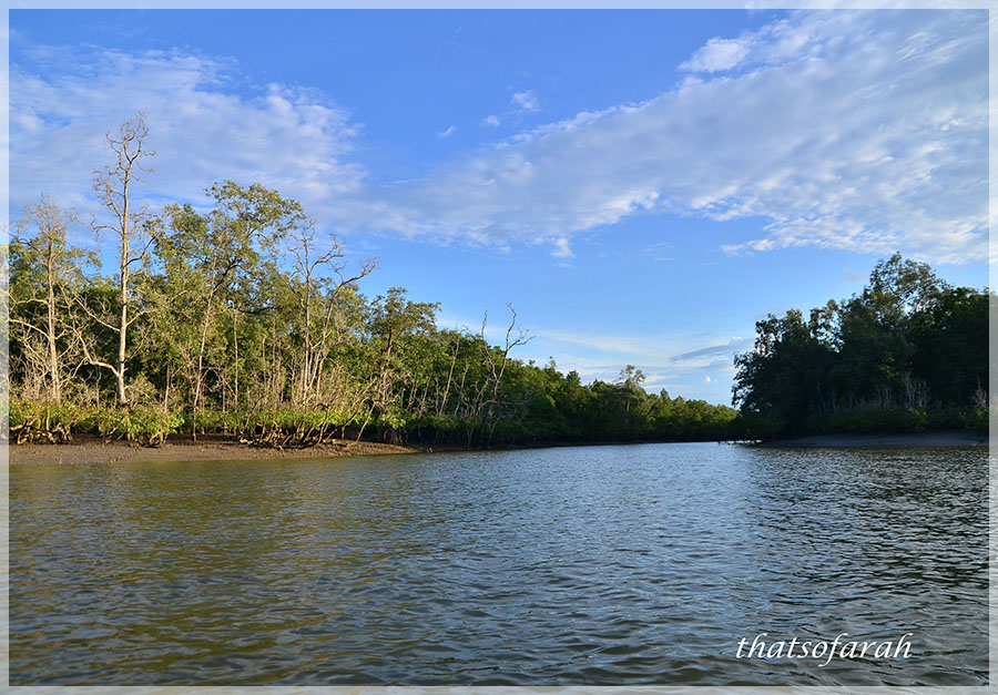 Malaysia National Parks, Sarawak, Kuching Wetland
古晋湿地国家公园, 砂拉越州属, 马来西亚