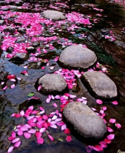 落花流水