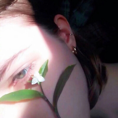 女头/无爱一身轻