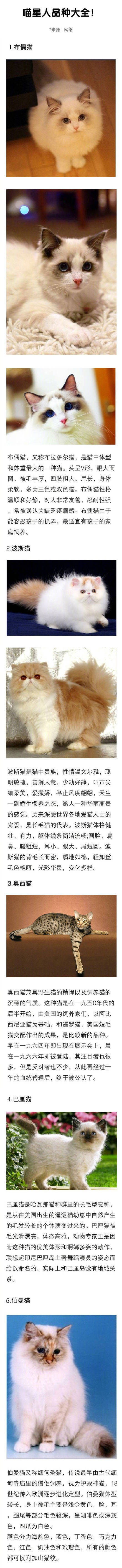 码住 我一定会有猫的！