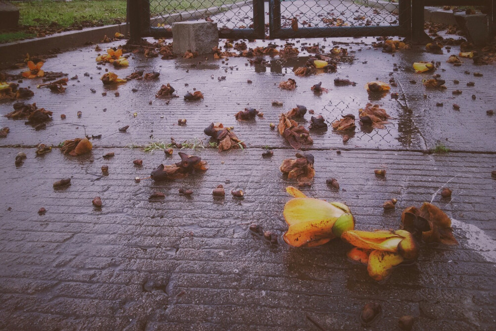 那天下雨，足球场前 来自 张小篱儿