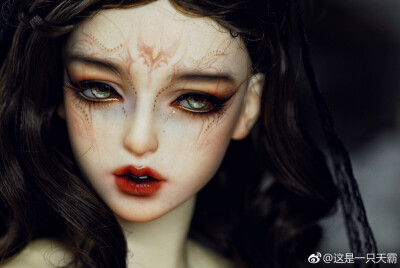 bjd