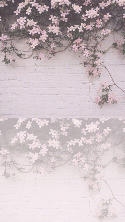 拼接 壁纸 清新 花 粉色