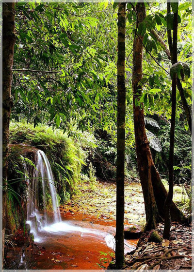 Malaysia National Parks, Sarawak, Lampir Hill
兰皮尔山国家公园, 砂拉越州属, 马来西亚