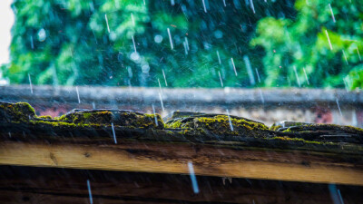 雨水 古风 绿意 屋檐 自然 清新