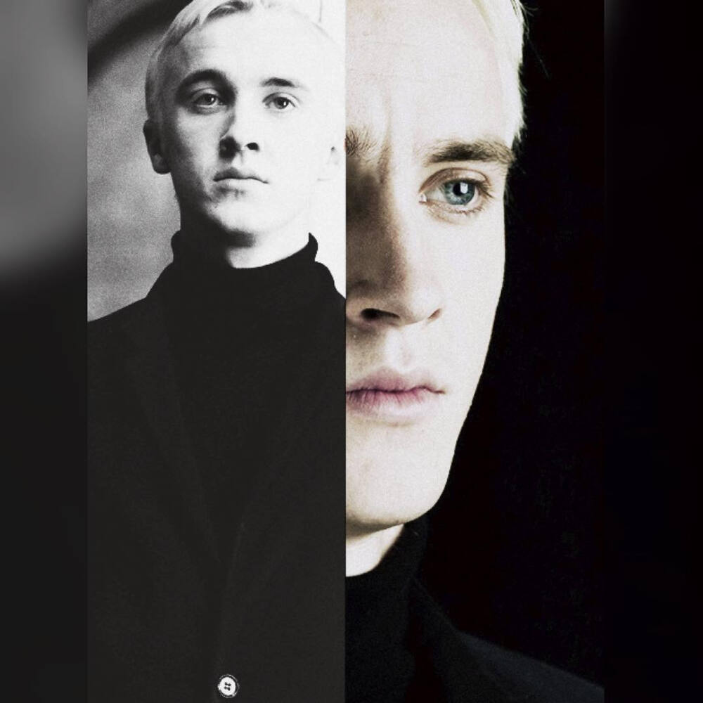 Draco Malfoy 我最最亲爱的小少爷