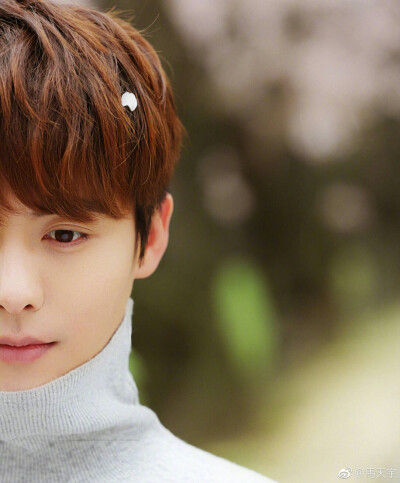 马天宇马二爷手机壁纸锁屏背景墙