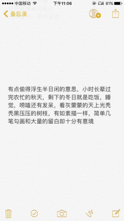 有点偷得浮生半日闲的意思，小时长辈过完农忙的秋天，剩下的冬日就是吃饭，睡觉，唠嗑还有发呆，看灰蒙蒙的天上光秃秃黑压压的树枝，有如素描一样，简单几笔勾画和大量的留白却十分有意境