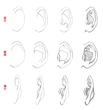耳朵绘画技巧